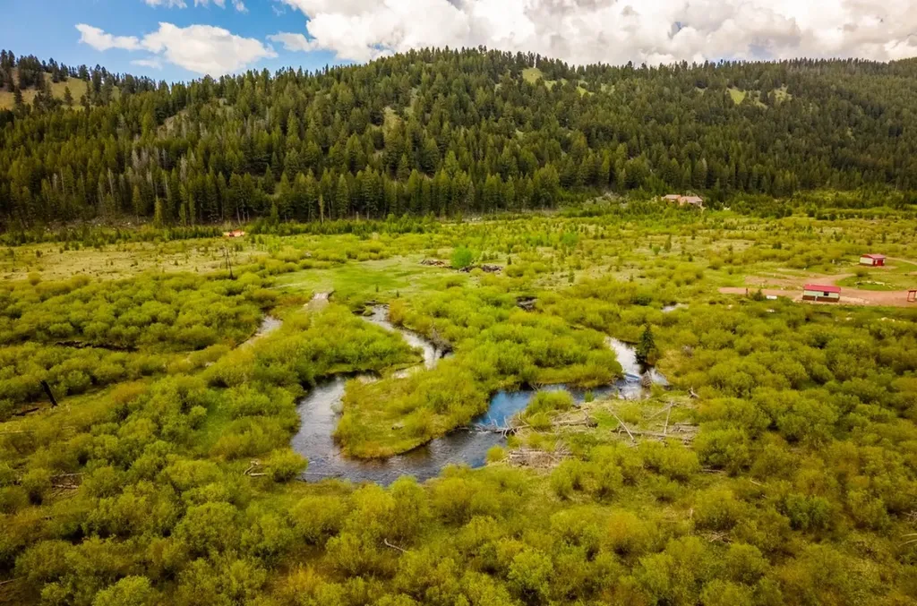 Rumsey Road Philipsburg MT 59858