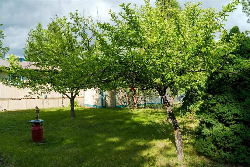 2889 Us Highway 2 Troy MT 59935