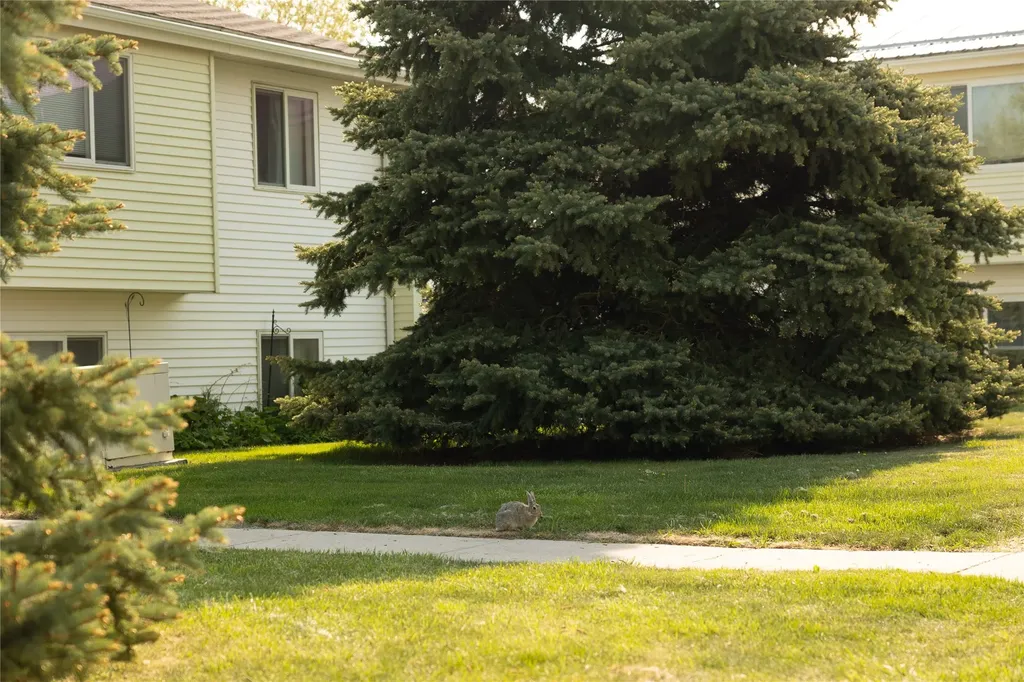 1000 4th Avenue SW Conrad MT 59425