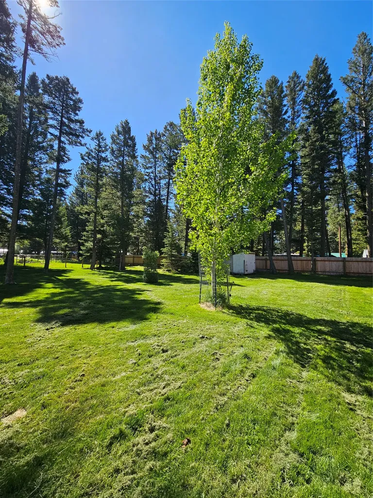 229 3rd Avenue Lincoln MT 59639