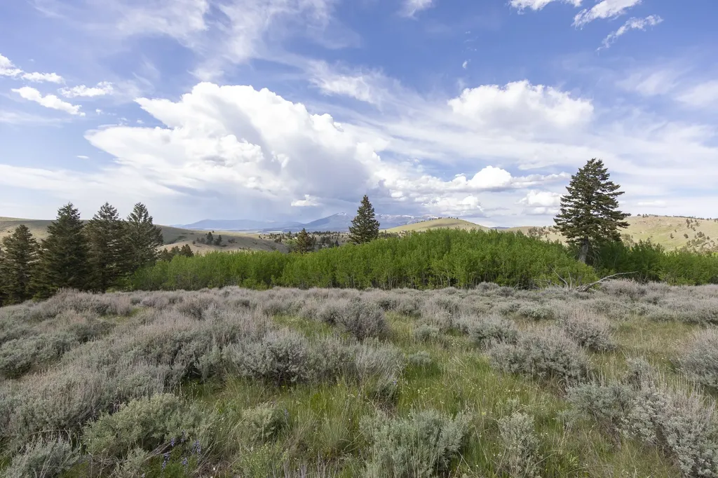 386 Ross Gulch Road Townsend MT 59644