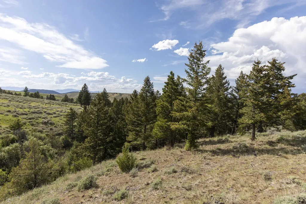 386 Ross Gulch Road Townsend MT 59644