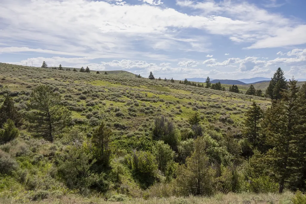 386 Ross Gulch Road Townsend MT 59644