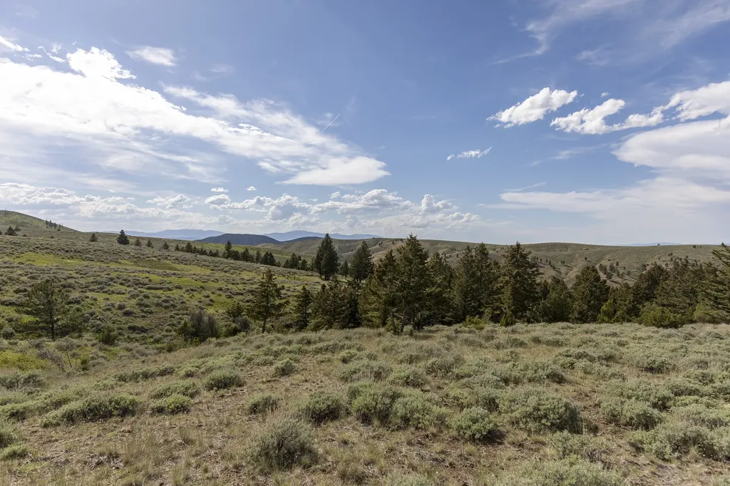 386 Ross Gulch Road Townsend MT 59644