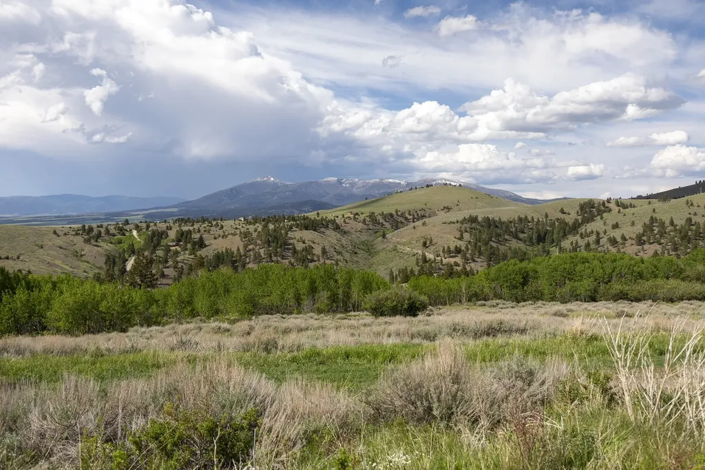386 Ross Gulch Road Townsend MT 59644