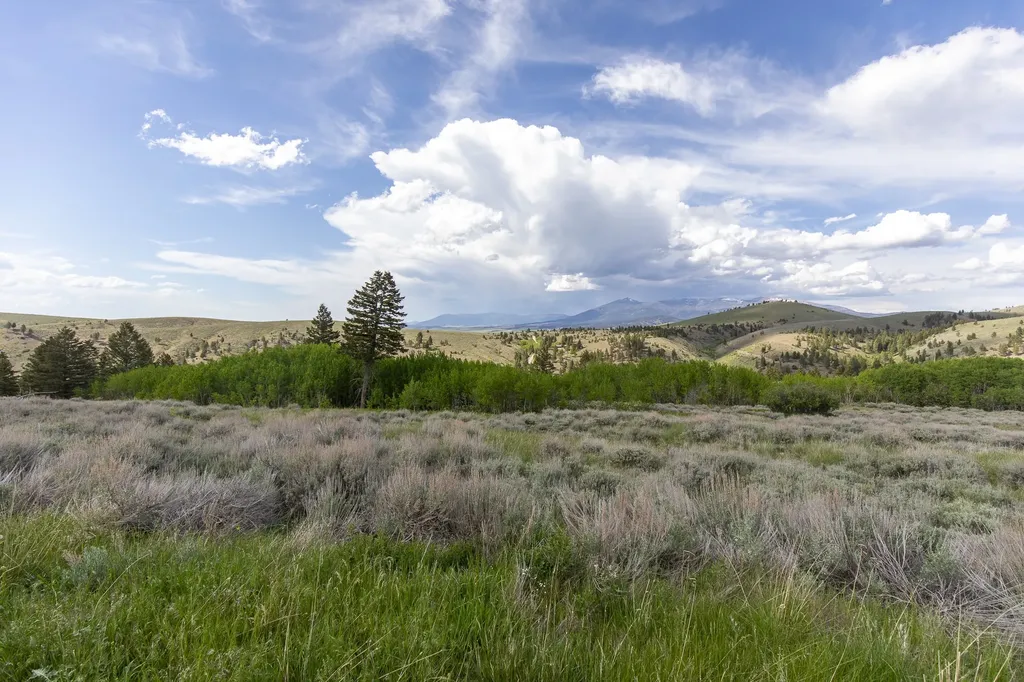 386 Ross Gulch Road Townsend MT 59644