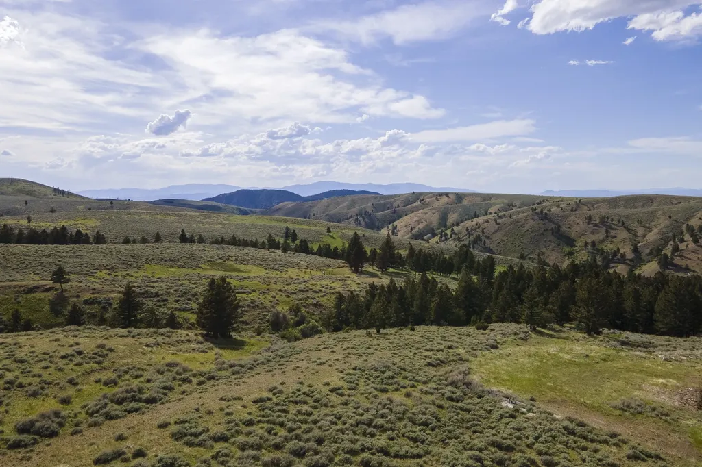 386 Ross Gulch Road Townsend MT 59644