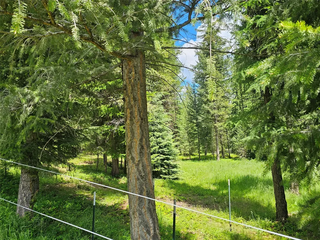 165 Meadow Creek Trail Fortine MT 59918