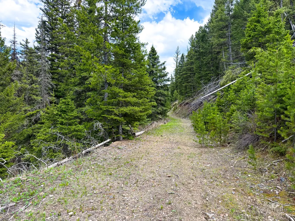 Nhn Hoover Creek Road Helmville MT 59843