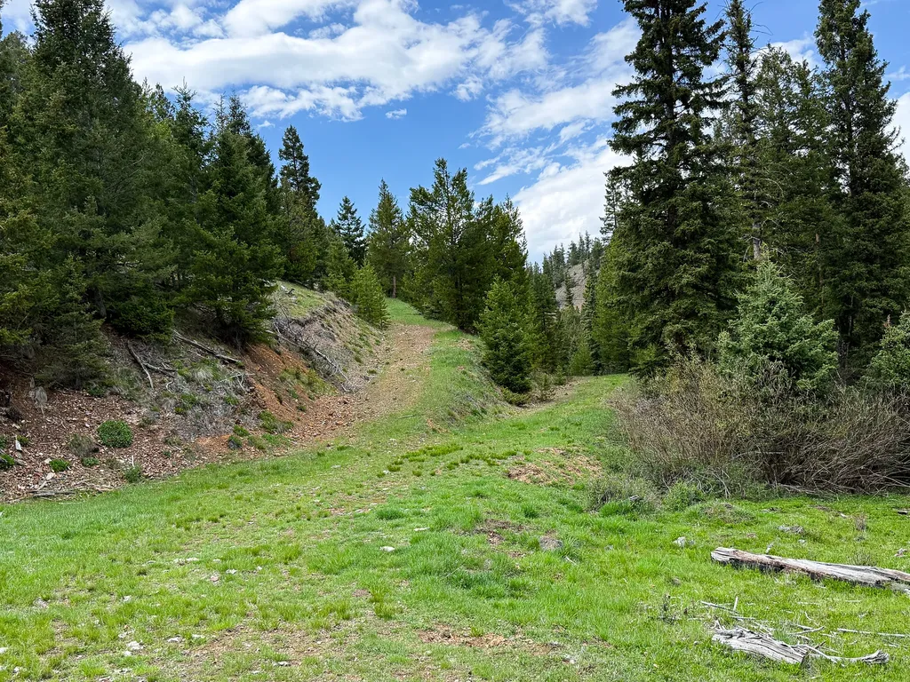 Nhn Hoover Creek Road Helmville MT 59843