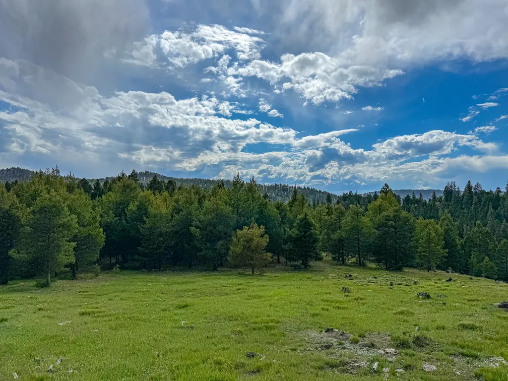 Nhn Hoover Creek Road Helmville MT 59843