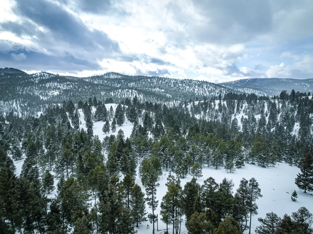 Nhn Hoover Creek Road Helmville MT 59843