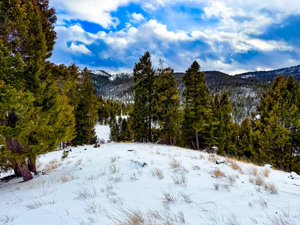 Nhn Hoover Creek Road Helmville MT 59843