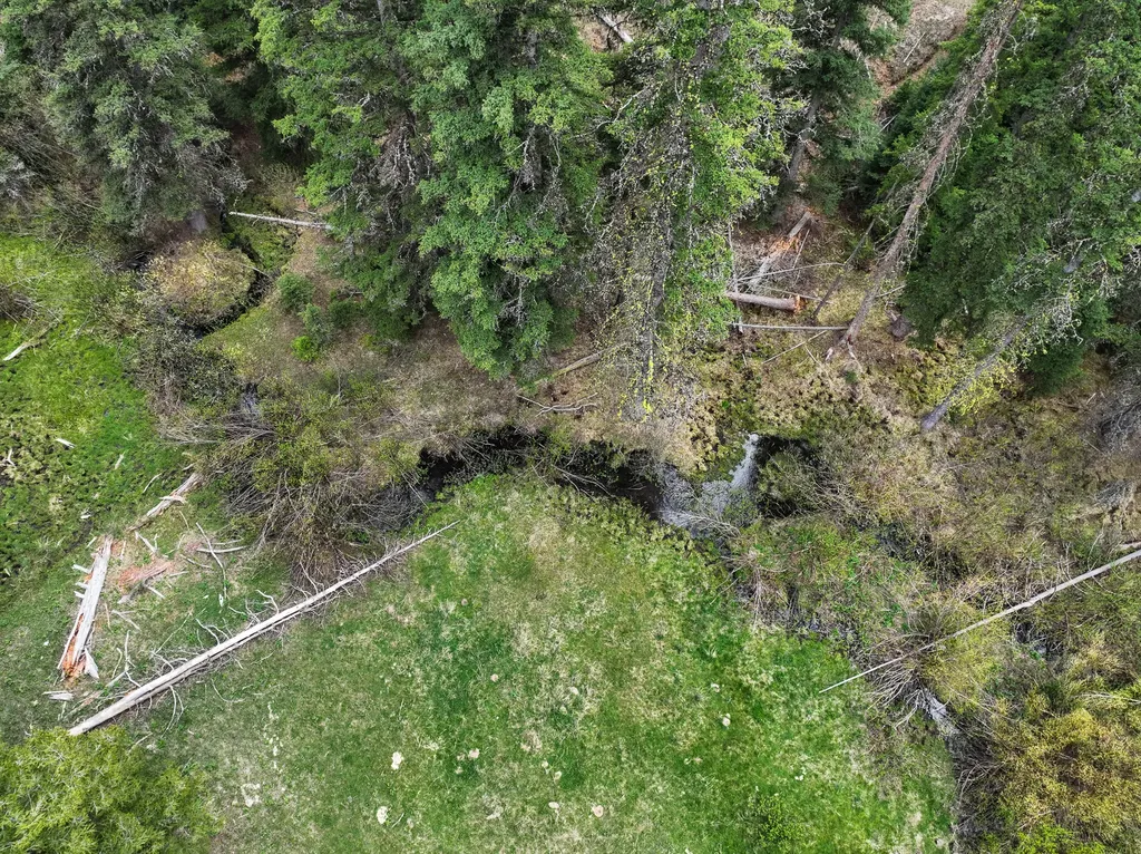 Nhn Hoover Creek Road Helmville MT 59843