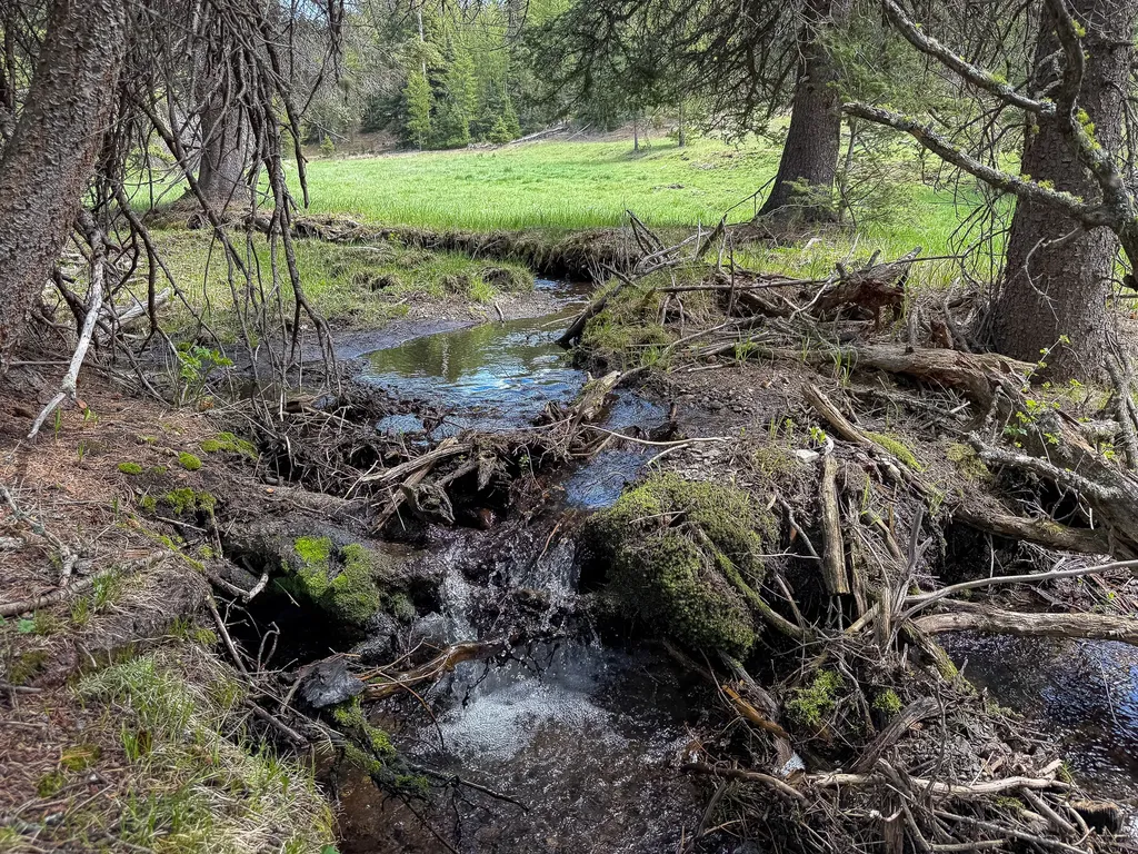Nhn Hoover Creek Road Helmville MT 59843