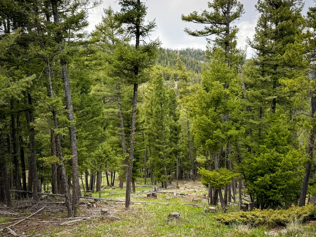 Nhn Hoover Creek Road Helmville MT 59843