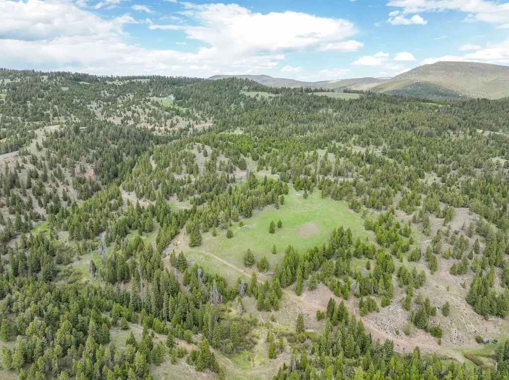 Nhn Hoover Creek Road Helmville MT 59843