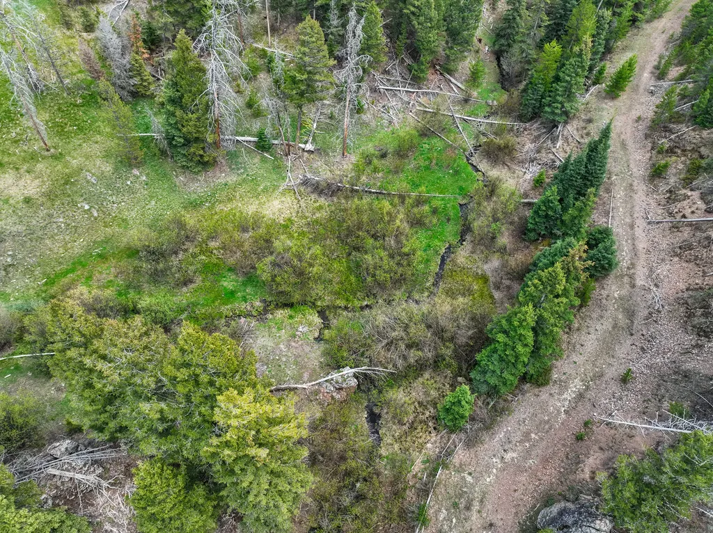 Nhn Hoover Creek Road Helmville MT 59843