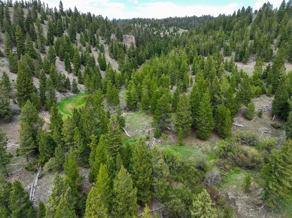 Nhn Hoover Creek Road Helmville MT 59843