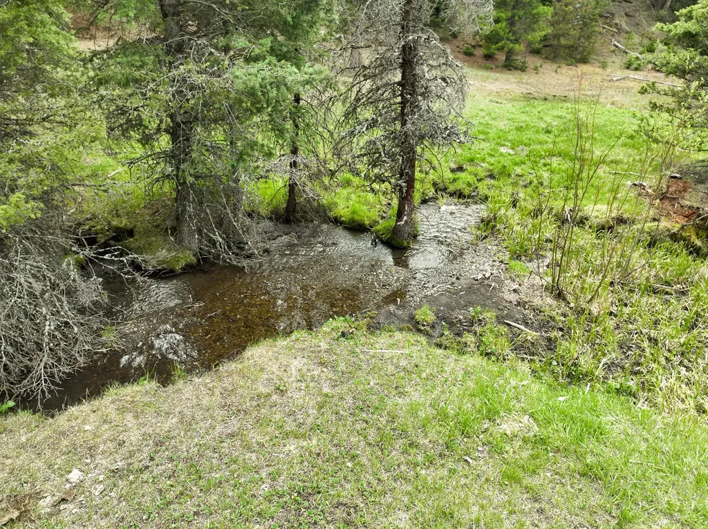 Nhn Hoover Creek Road Helmville MT 59843