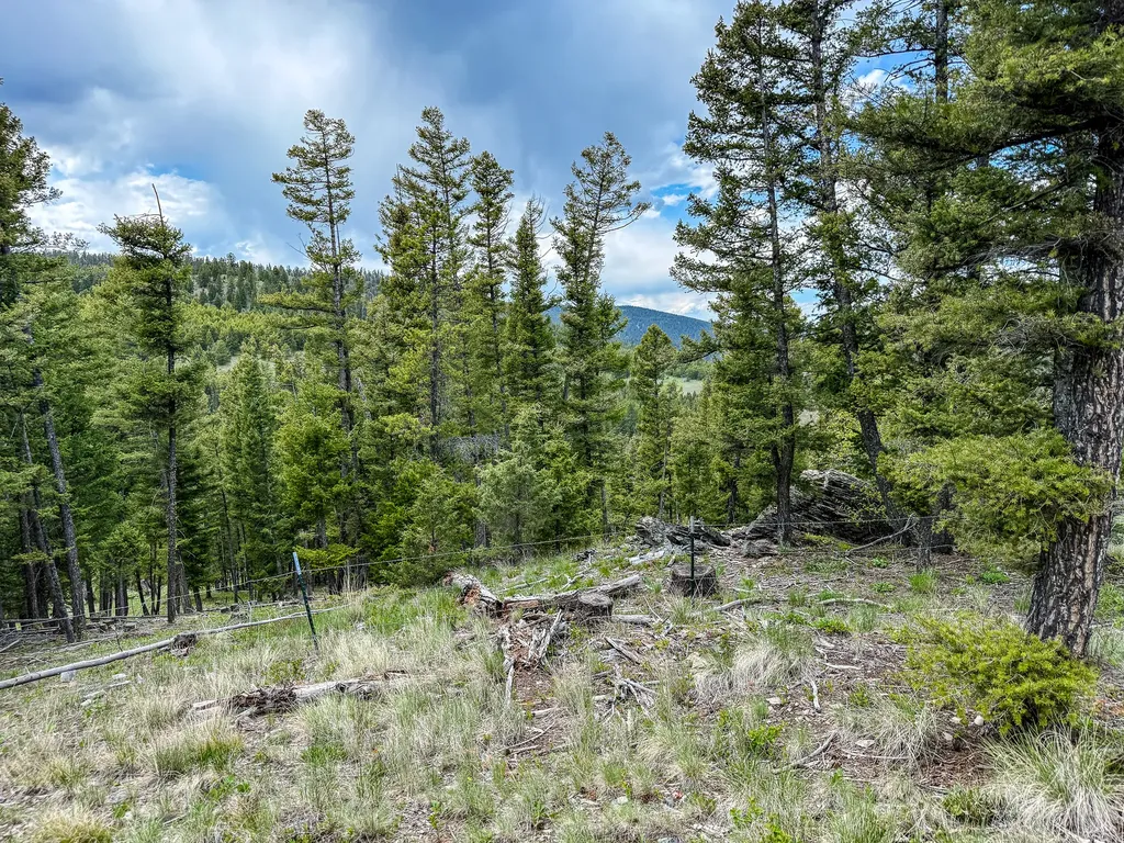 Nhn Hoover Creek Road Helmville MT 59843