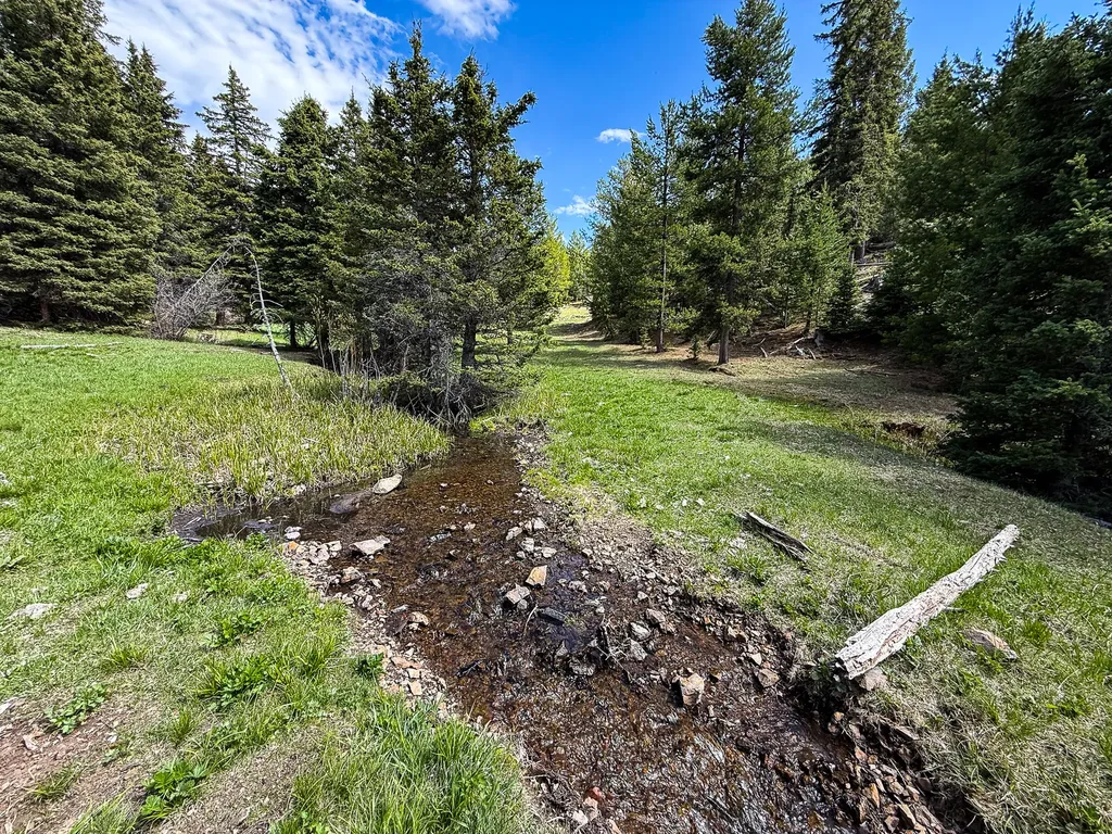 Nhn Hoover Creek Road Helmville MT 59843