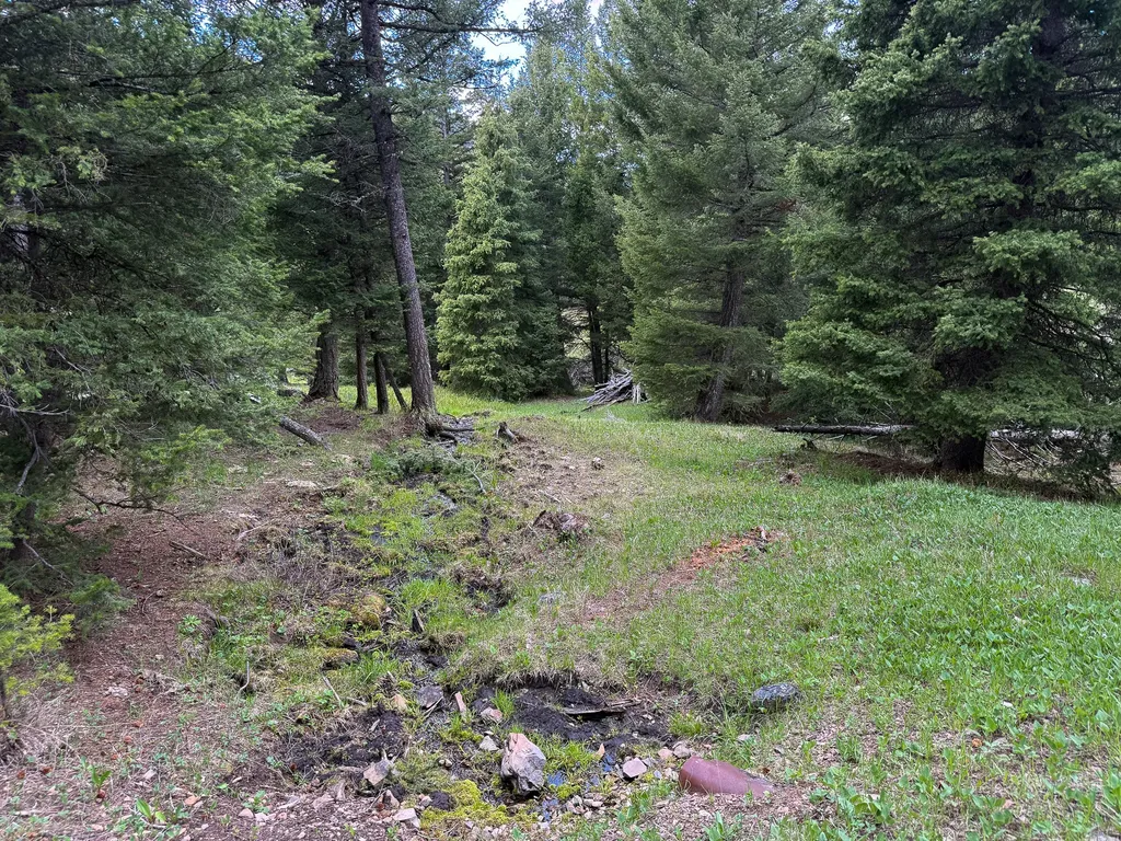 Nhn Hoover Creek Road Helmville MT 59843