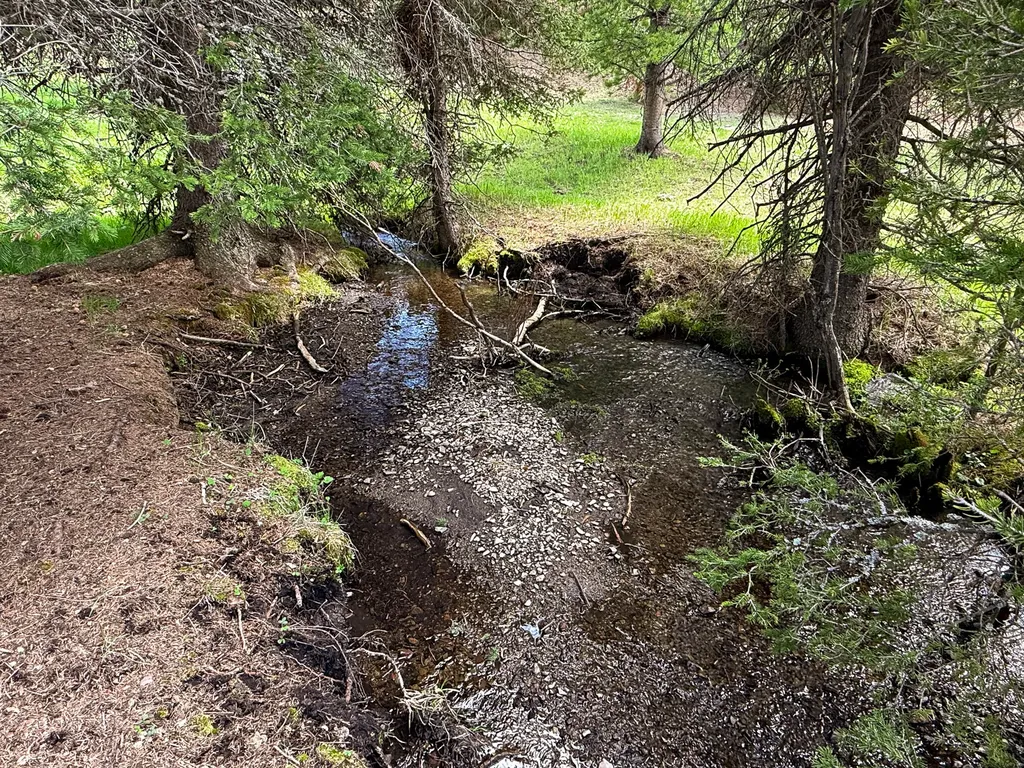 Nhn Hoover Creek Road Helmville MT 59843
