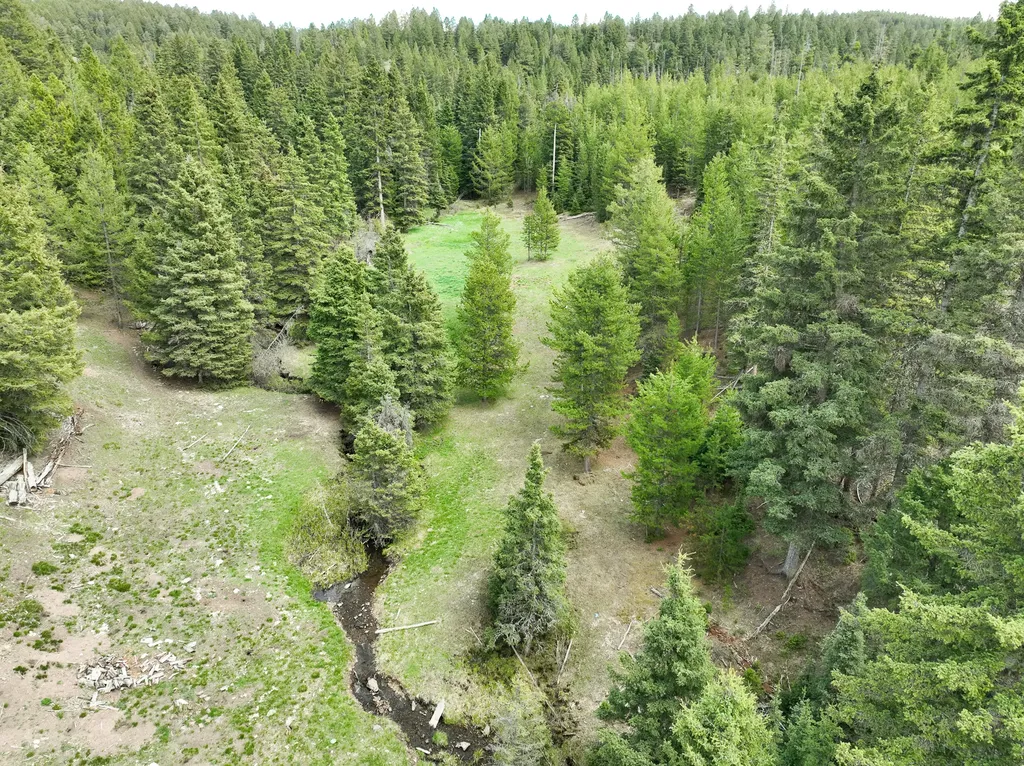 Nhn Hoover Creek Road Helmville MT 59843