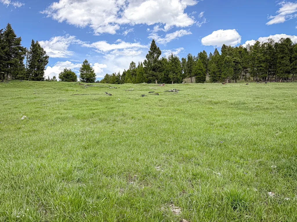 Nhn Hoover Creek Road Helmville MT 59843