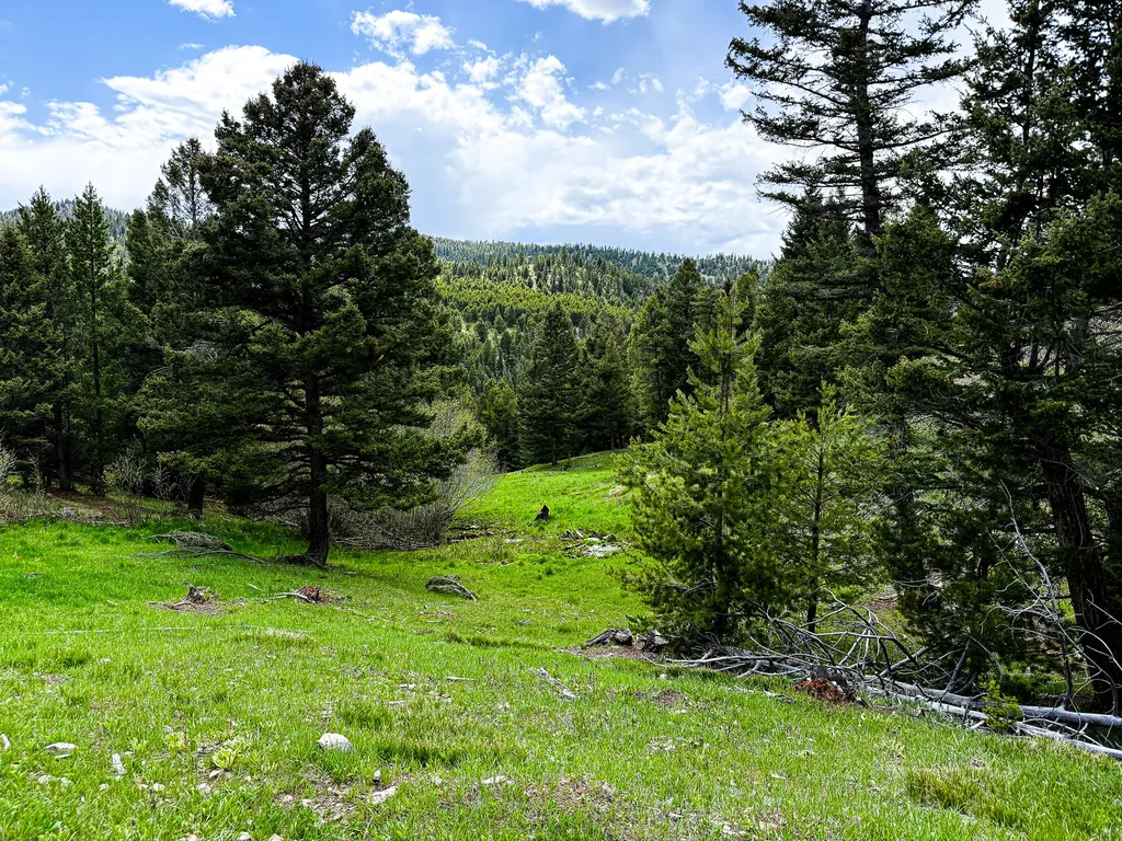 Nhn Hoover Creek Road Helmville MT 59843