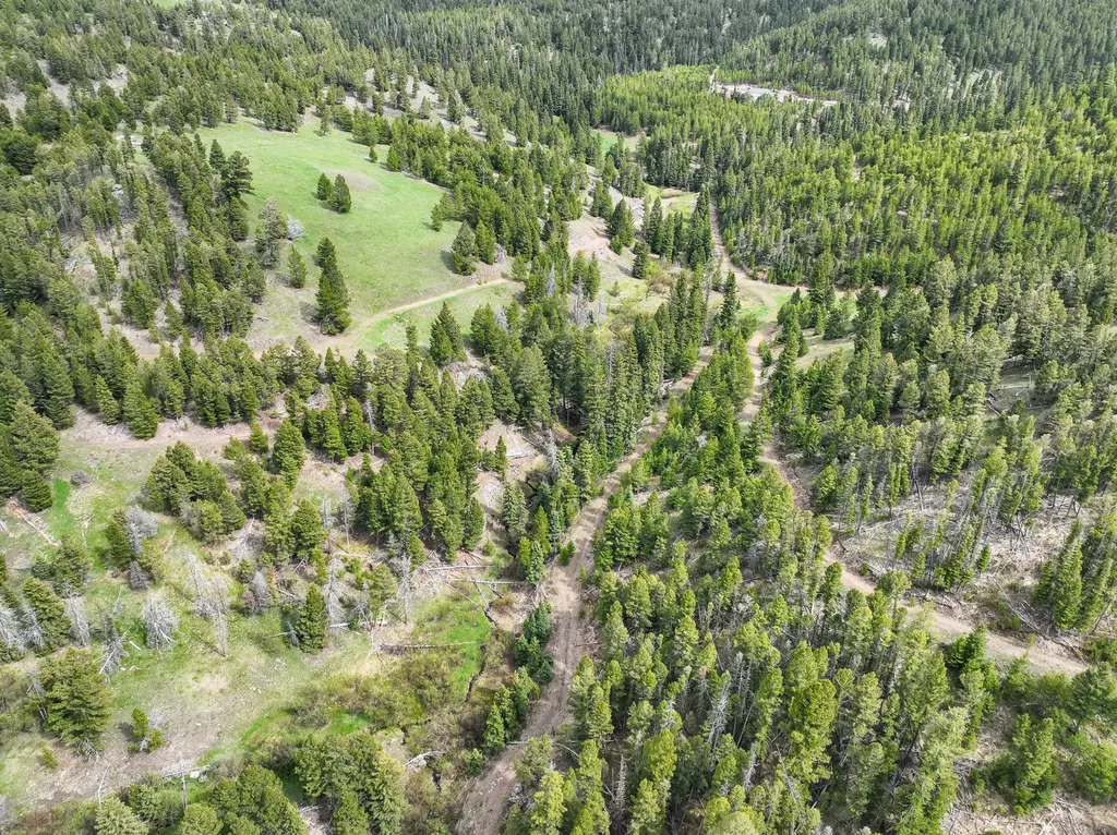 Nhn Hoover Creek Road Helmville MT 59843