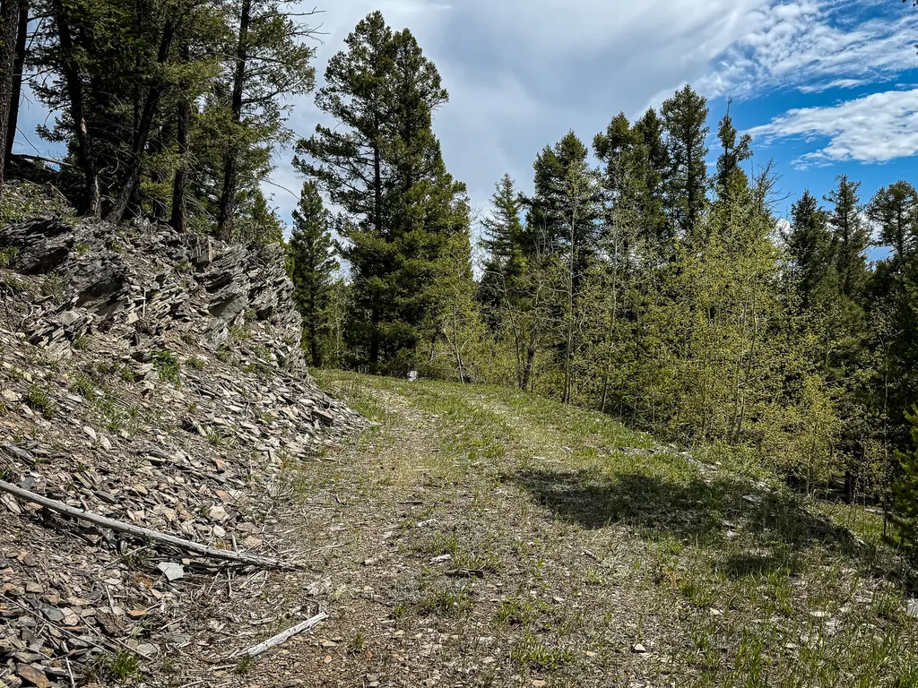 Nhn Hoover Creek Road Helmville MT 59843
