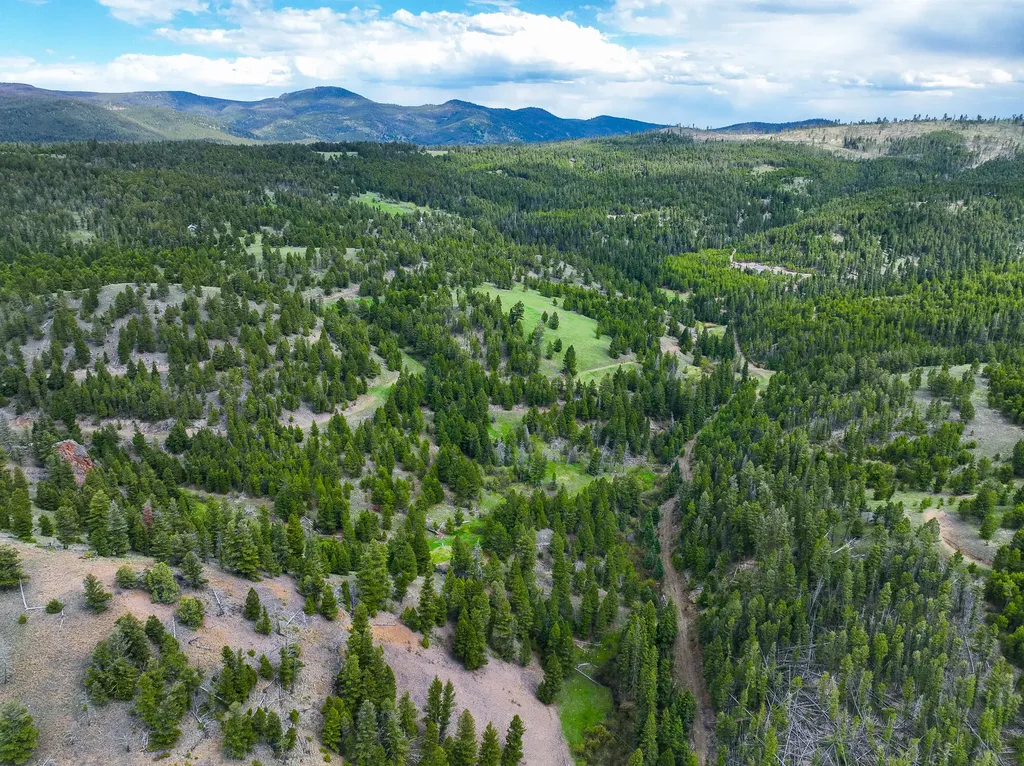 Nhn Hoover Creek Road Helmville MT 59843