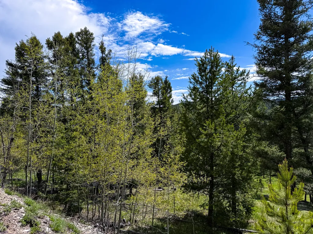 Nhn Hoover Creek Road Helmville MT 59843