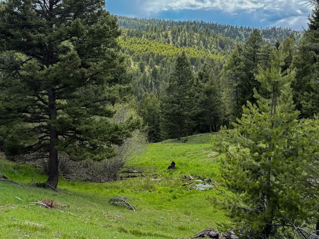 Nhn Hoover Creek Road Helmville MT 59843