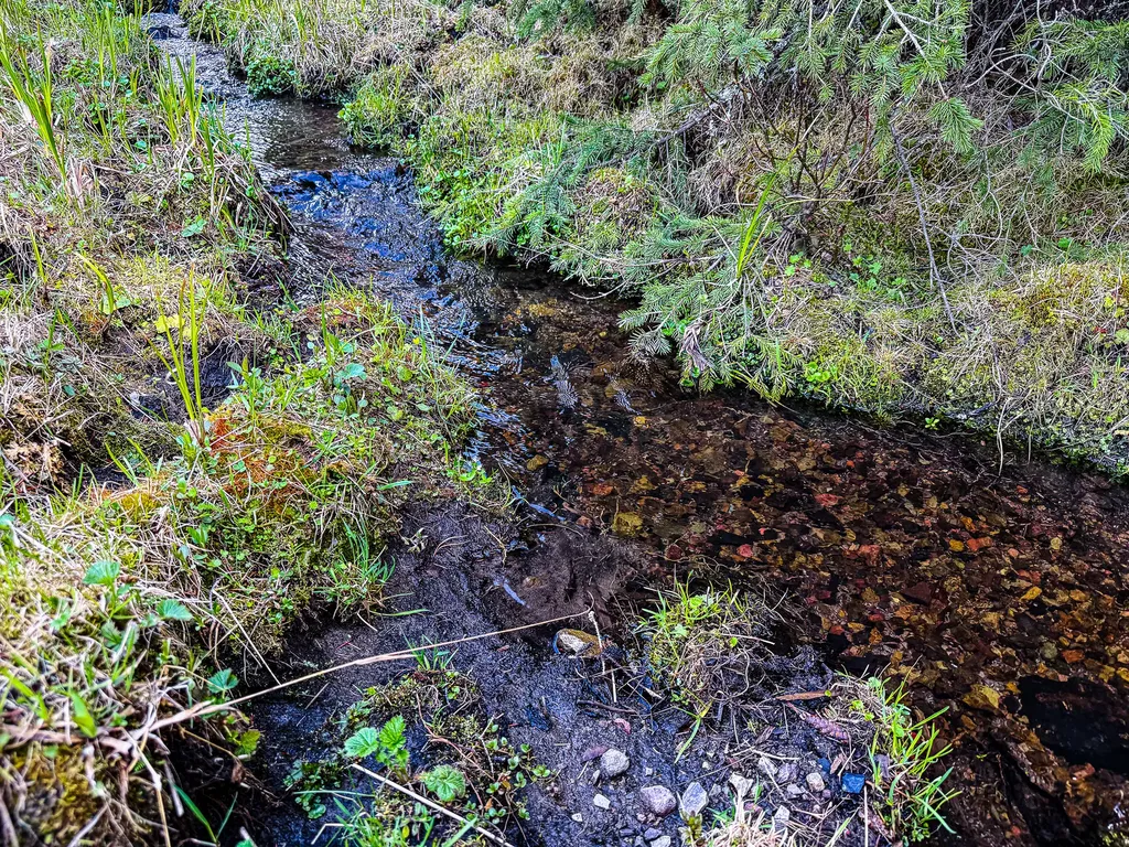 Nhn Hoover Creek Road Helmville MT 59843