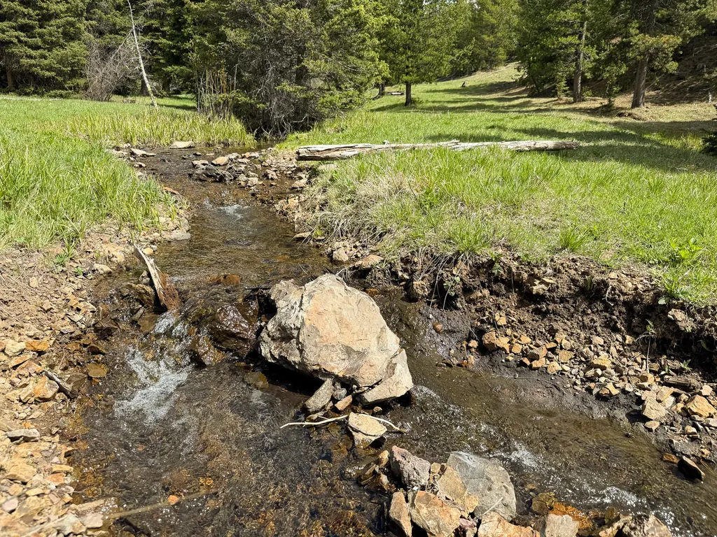 Nhn Hoover Creek Road Helmville MT 59843