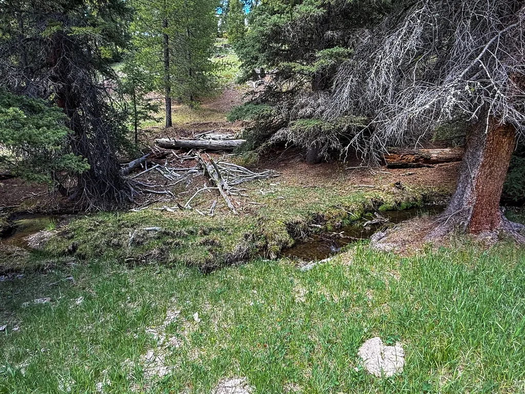 Nhn Hoover Creek Road Helmville MT 59843