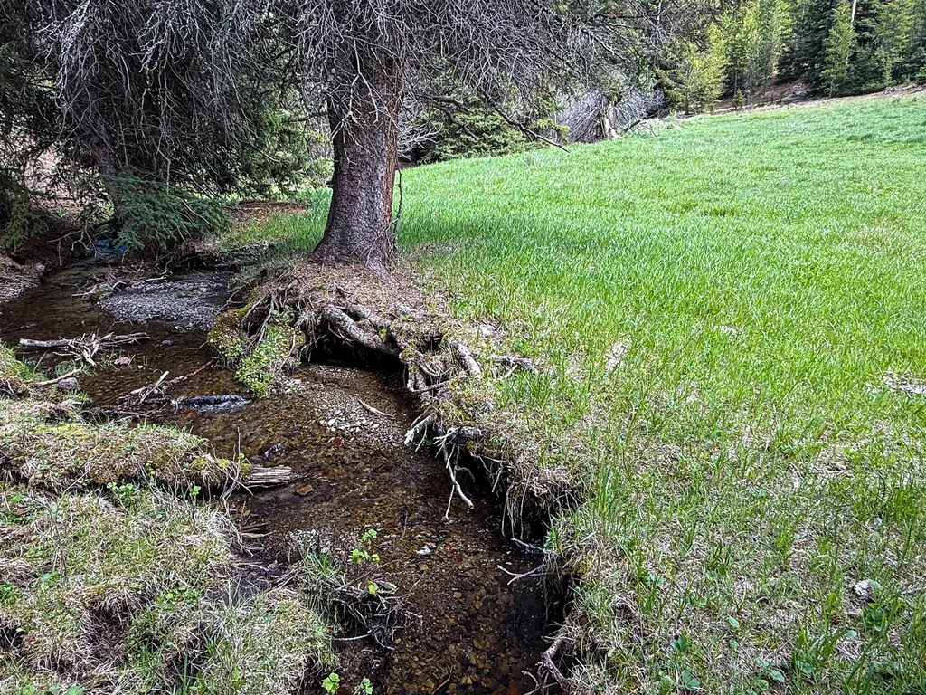 Nhn Hoover Creek Road Helmville MT 59843