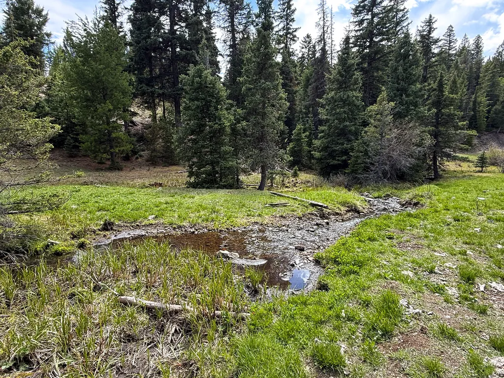 Nhn Hoover Creek Road Helmville MT 59843