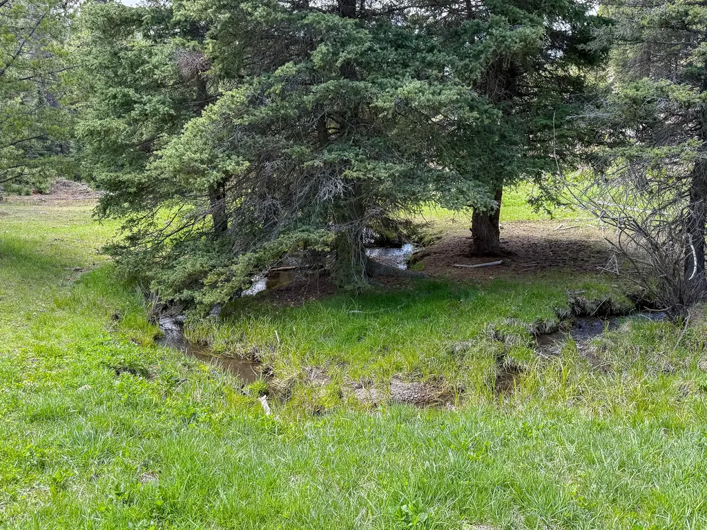 Nhn Hoover Creek Road Helmville MT 59843