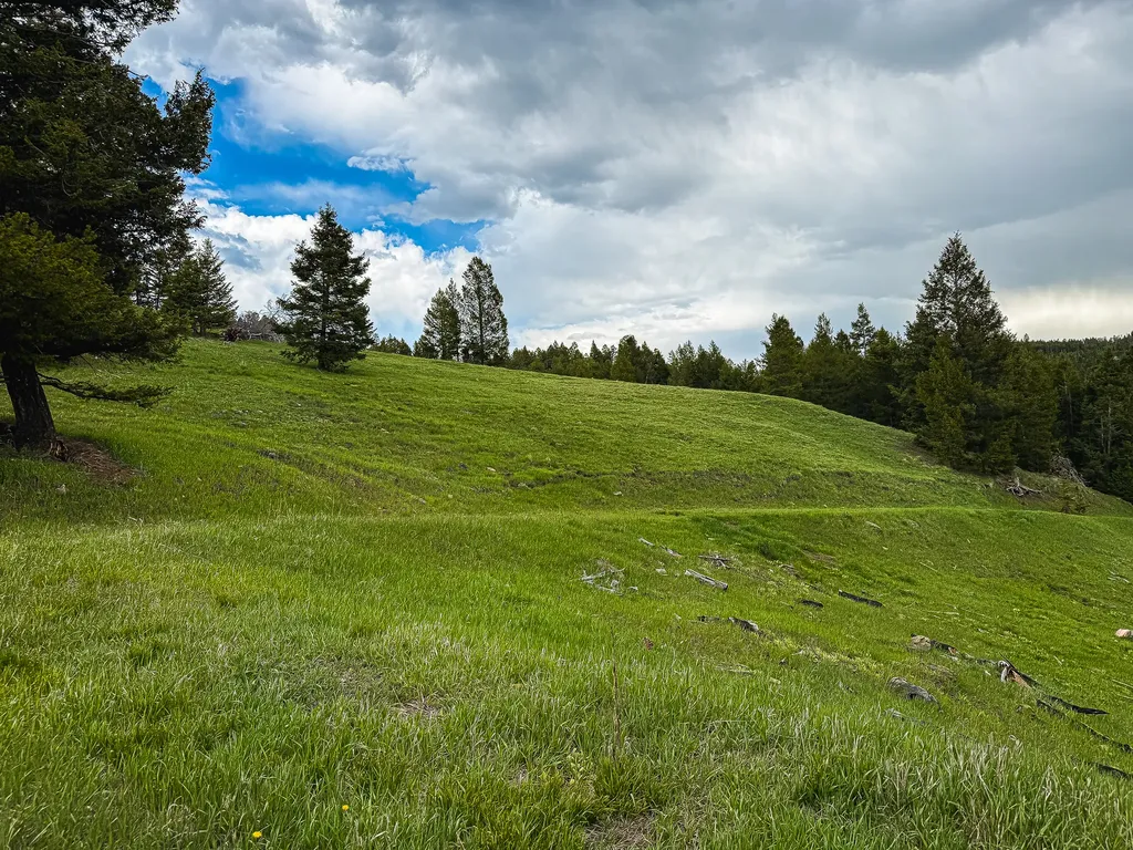 Nhn Hoover Creek Road Helmville MT 59843