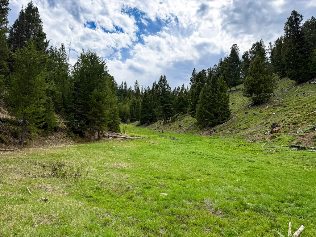 Nhn Hoover Creek Road Helmville MT 59843