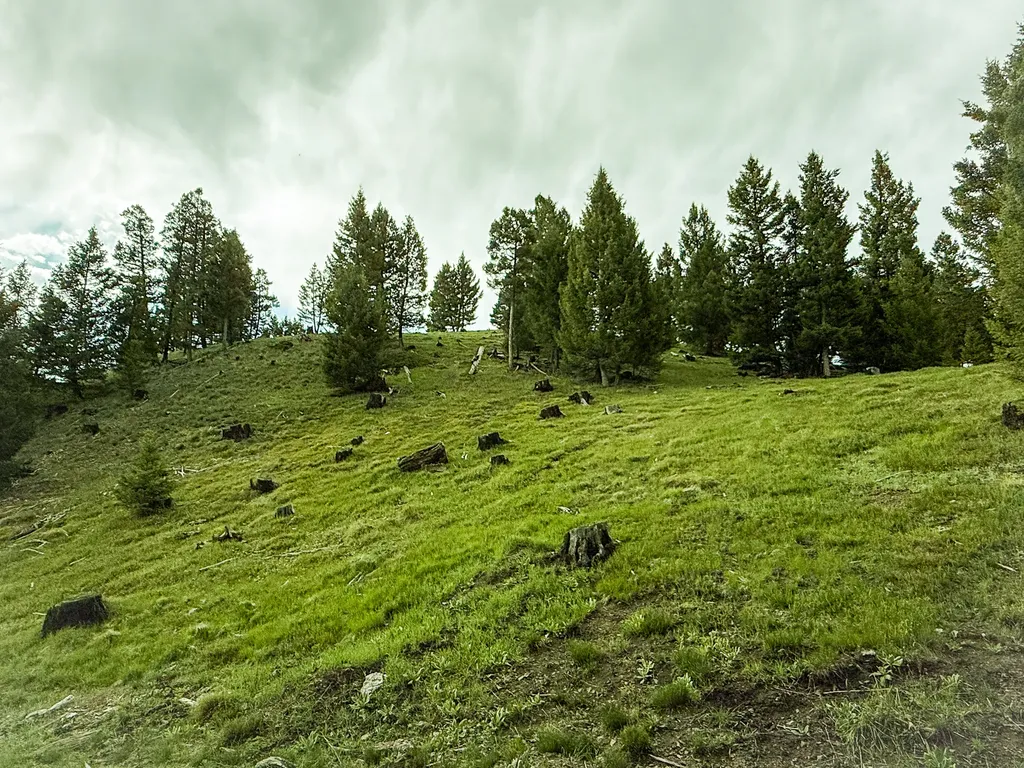 Nhn Hoover Creek Road Helmville MT 59843