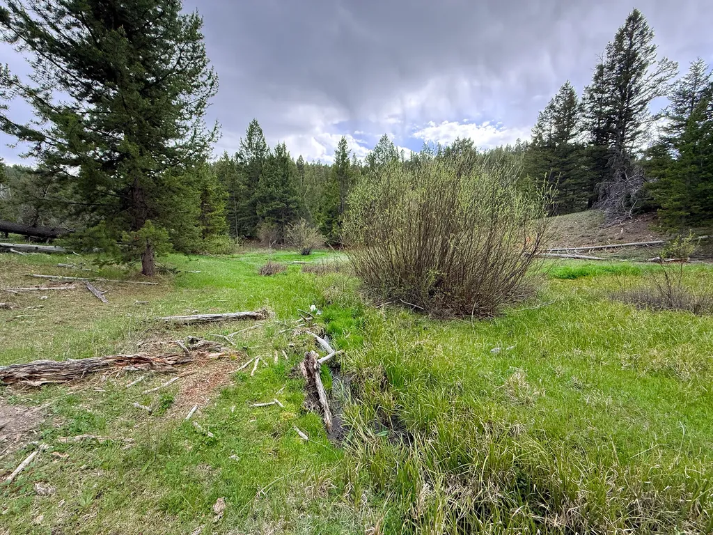 Nhn Hoover Creek Road Helmville MT 59843