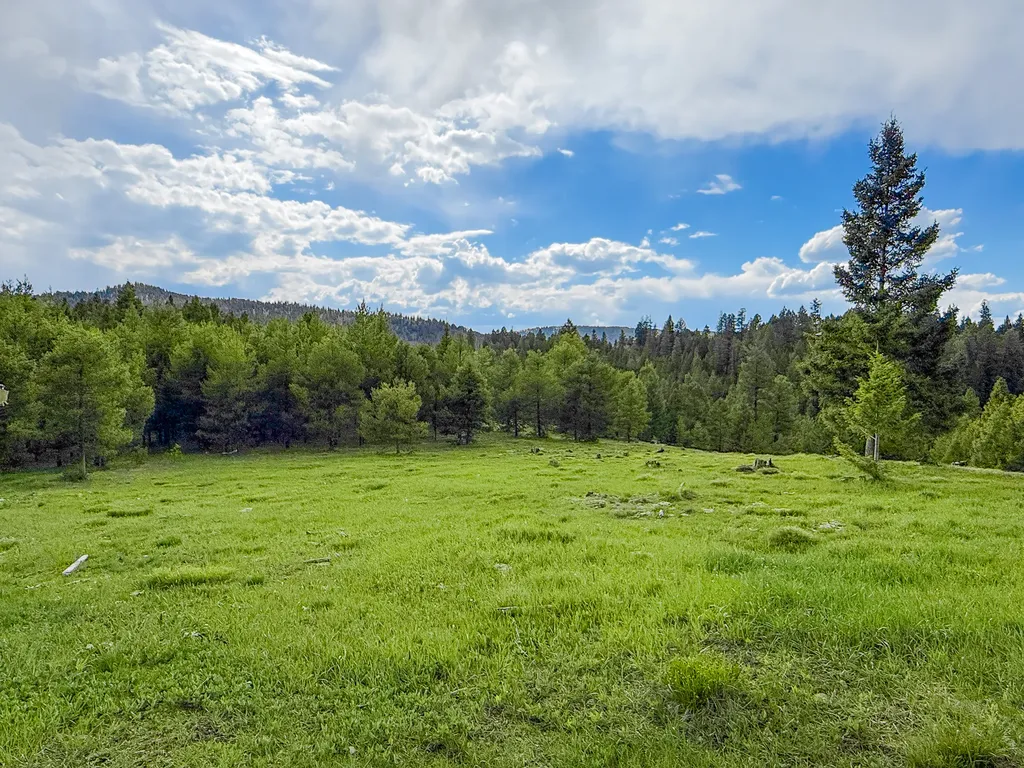 Nhn Hoover Creek Road Helmville MT 59843