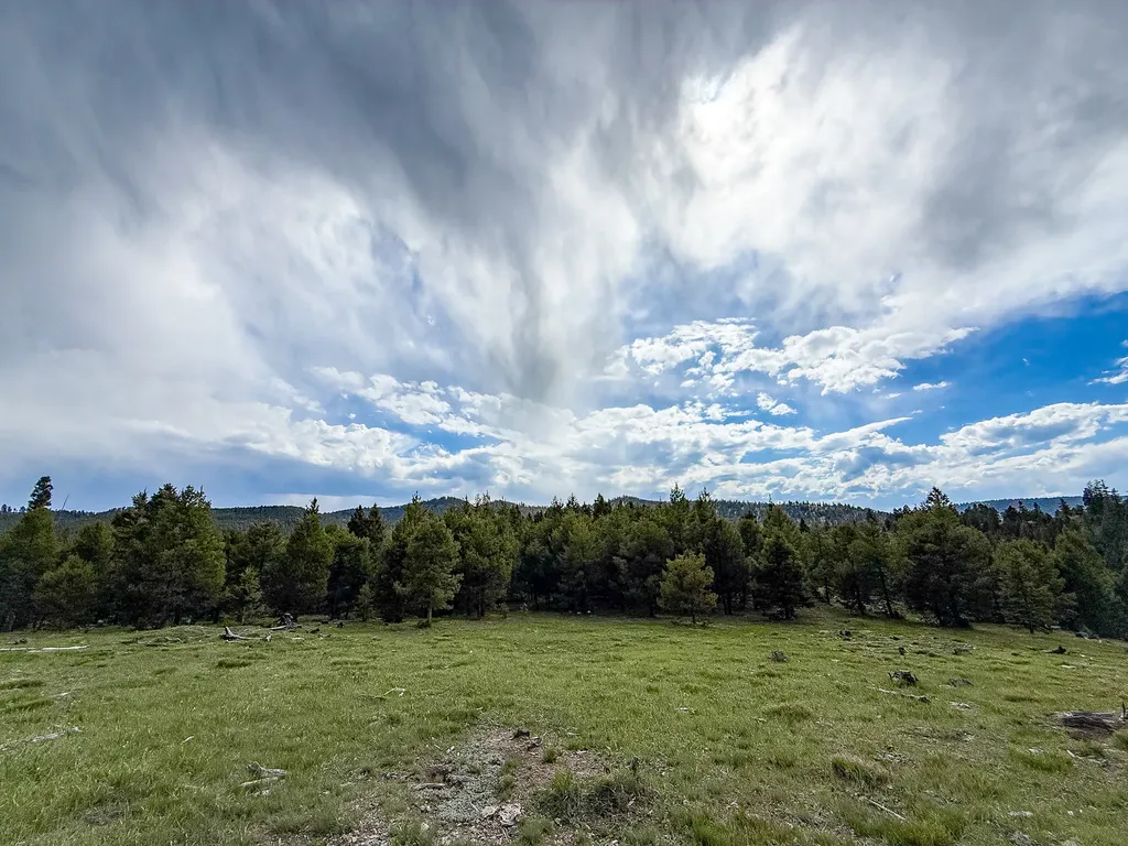 Nhn Hoover Creek Road Helmville MT 59843