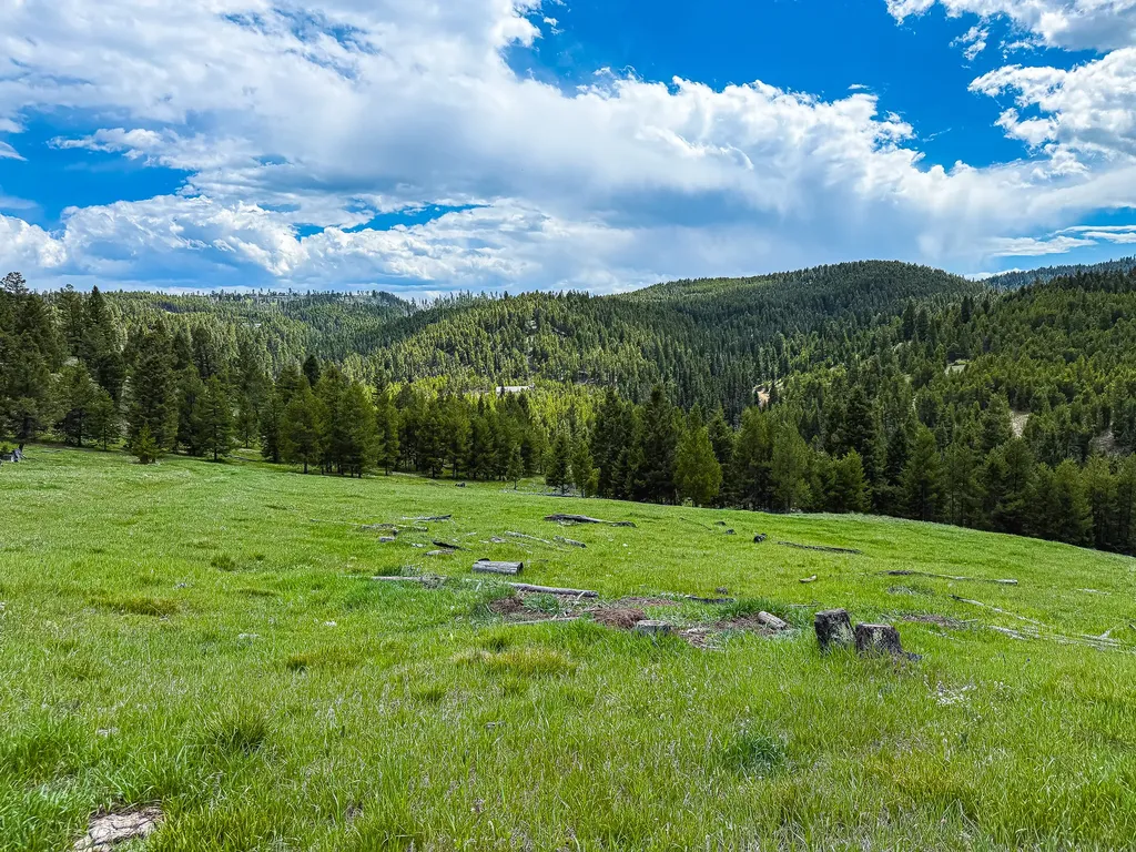 Nhn Hoover Creek Road Helmville MT 59843