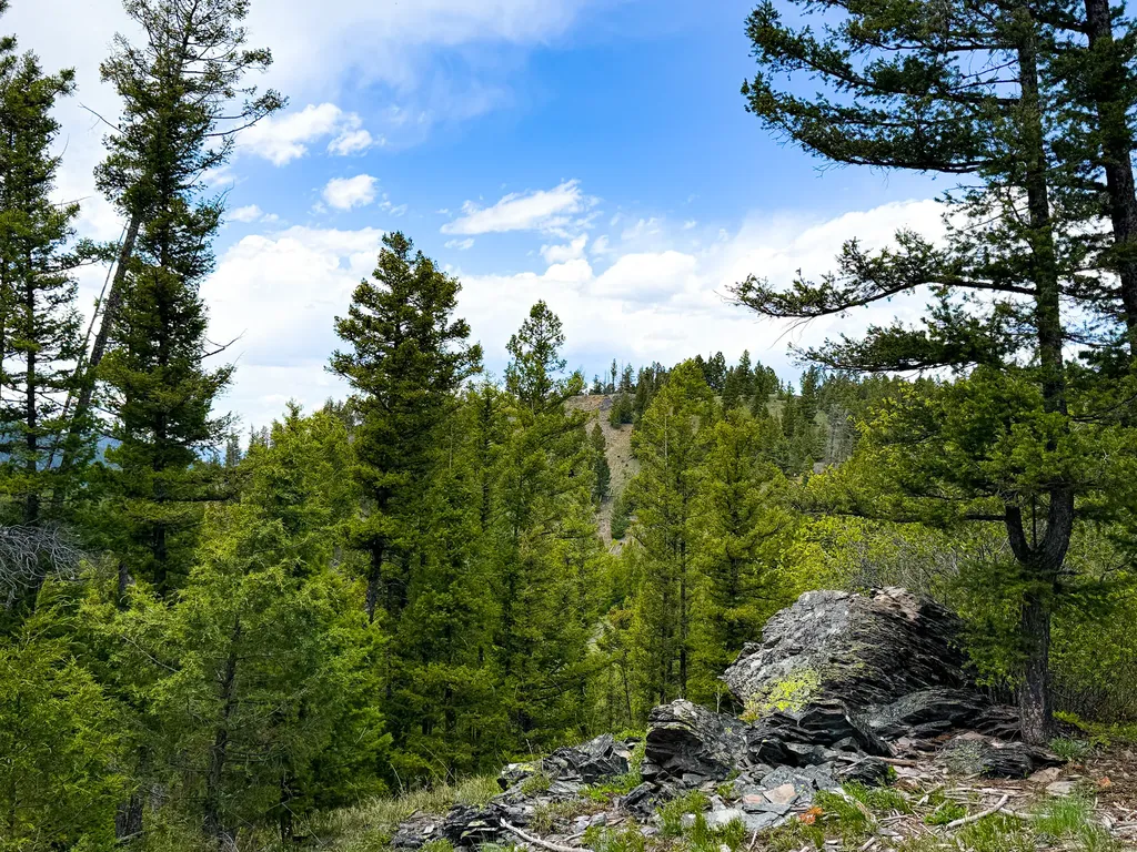 Nhn Hoover Creek Road Helmville MT 59843
